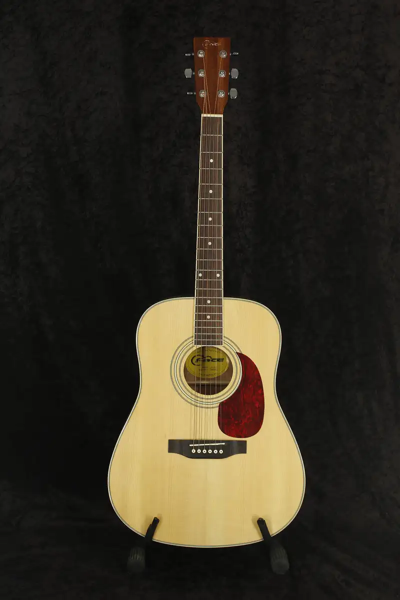 Face DG-22 Akustická gitara