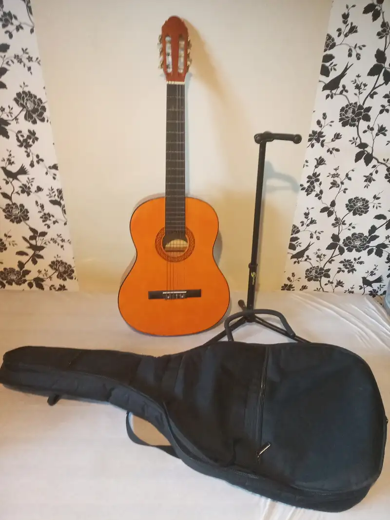 Martinez MTC-080-P Acoustic guitar