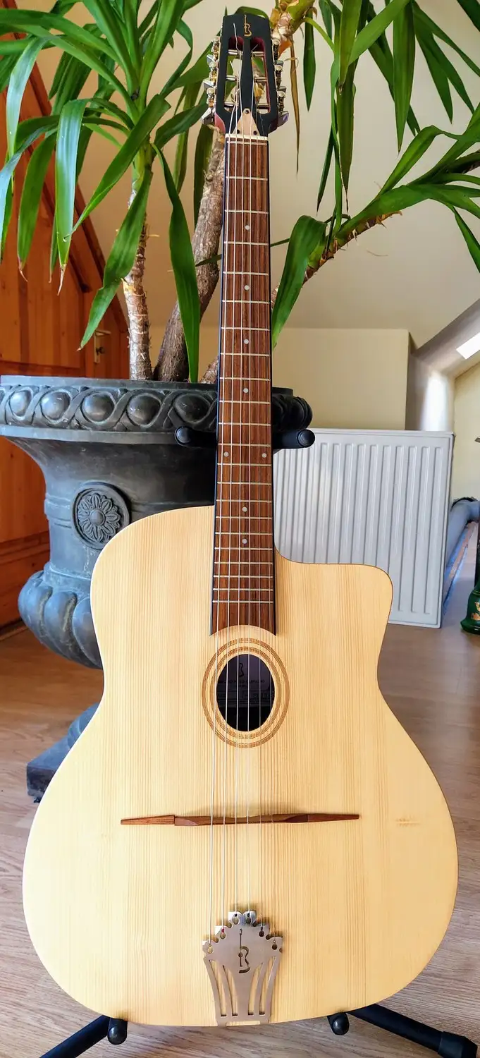 - Antonio Pinto Carvalho JM100 + Tok Akusztikus gitár