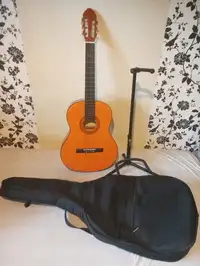 Martinez MTC-080-P Acoustic guitar [September 24, 2021, 11:27 am]
