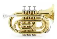 Classic Cantabile TT-500 Trumpet [January 24, 2024, 3:42 pm]