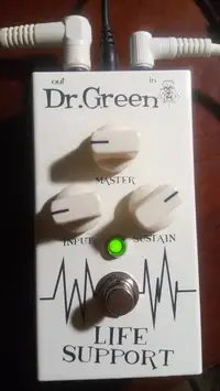 Hayden Life Support Pedal [September 28, 2021, 3:26 pm]