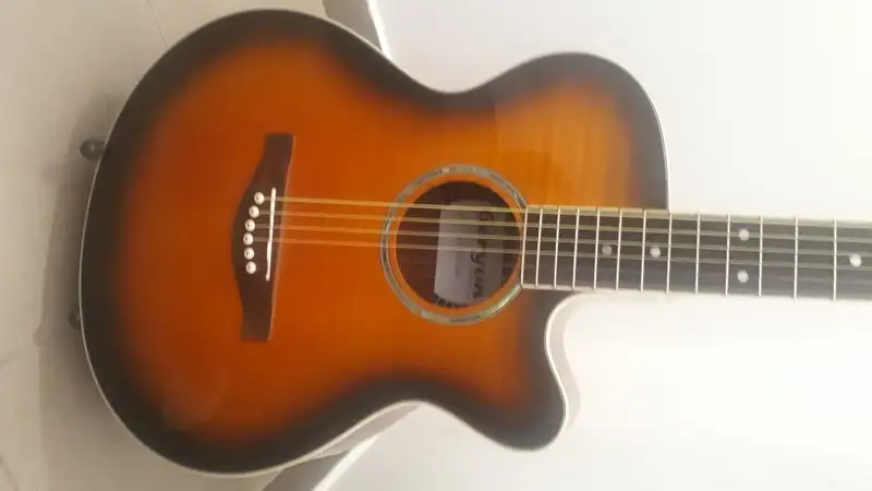  LO-202 Electro-acoustic guitar