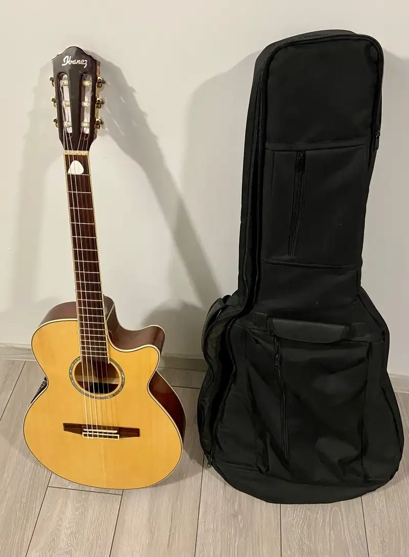 Ibanez AEG 10 NE NT Elektroakusztikus klasszikus gitár