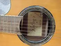 Roling`s F550 Electro-acoustic guitar [November 7, 2021, 2:18 pm]