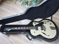 Italia Torino Electric guitar [November 26, 2021, 8:25 pm]