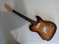 AcePro AE-204 Electric guitar [November 30, 2021, 10:40 am]