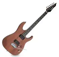 Shaman HX-100 Guitarra eléctrica [January 23, 2024, 7:40 pm]