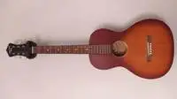 Recording King RPS-9 Dirty 30s Parlor Acoustic guitar [December 23, 2021, 11:24 am]