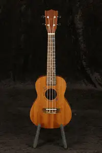 Flight NUC 310 koncert Ukulele [August 21, 2022, 5:20 pm]