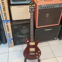 Westbury Standard E-Gitarre [June 2, 2022, 11:11 am]