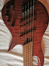 MLP Fanfret 5 Basgitara 5 strún [April 24, 2022, 4:25 pm]