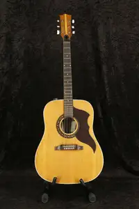 EKO AC Acoustic guitar [August 5, 2024, 3:46 pm]