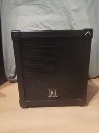 Beta Aivin B-110 Bass guitar combo amp [May 31, 2022, 11:54 am]