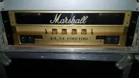 Marshall EL34 100100 Dual Monobloc Amplifier Etapa de potencia [May 27, 2025, 7:55 pm]
