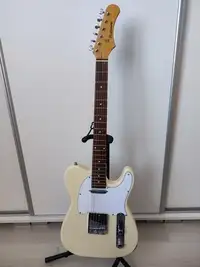 Baltimore Telecaster Elektrická gitara [July 13, 2022, 8:41 am]