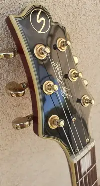 Samic Greg Bennett AV 7 E-Gitarre [August 27, 2022, 4:00 pm]