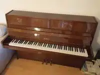 Petrof  Pianínó [2022.10.16. 06:33]