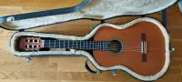 Raimundo 128 Electro-acoustic classic guitar [May 25, 2023, 9:36 pm]