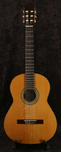 Alvaro 500FI Elektro-Akkustik Guitarre [November 23, 2022, 11:20 am]