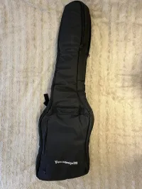 Special Design Case Thunderbird duplatok Bass guitar case [November 29, 2022, 3:27 pm]