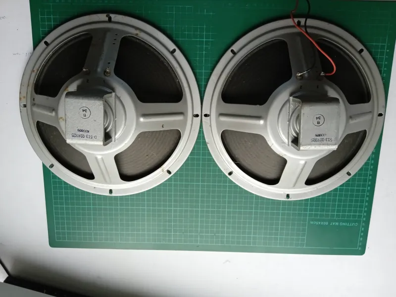 Jensen Vintage 12 alnico hagszórópár Altavoz