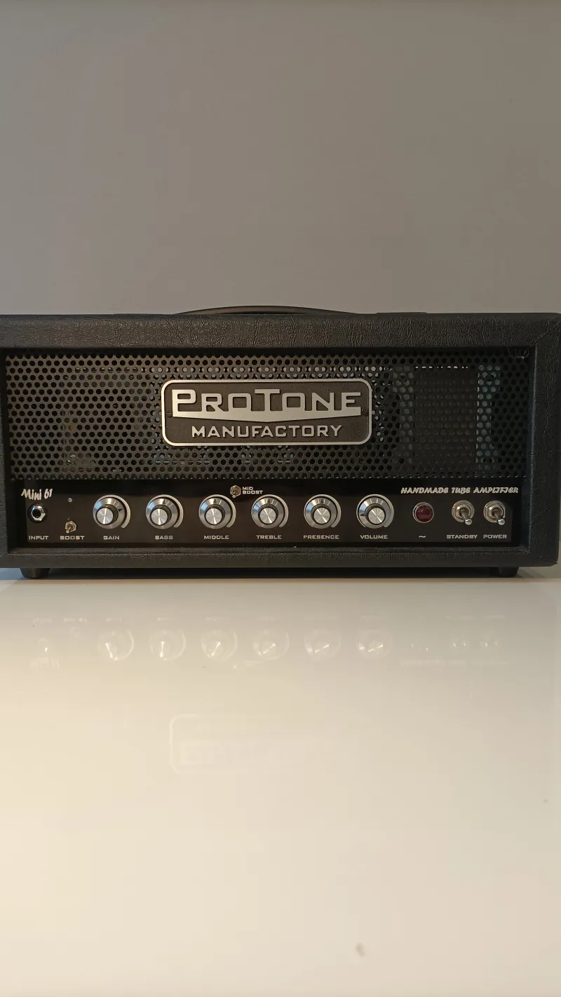 ProTone 30 Watt Full cső Cabezal de amplificador de guitarra