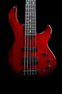 Boldogh Jazzy Bass guitar 5 strings [February 2, 2023, 8:01 pm]