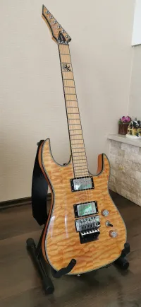 B C Rich Zoltan Bathory Assassin Electric guitar [December 19, 2022, 2:05 pm]