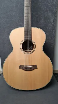 Baton Rouge Bariton X11S BTE Elektro-Akkustik Guitarre - MusicMall [Today, 12:04 pm]