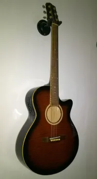 Richwood  Electro-acoustic guitar [January 29, 2023, 9:49 am]