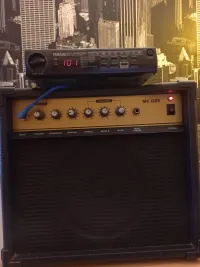 McGee SKAK30A Guitar combo amp [February 4, 2023, 5:17 pm]