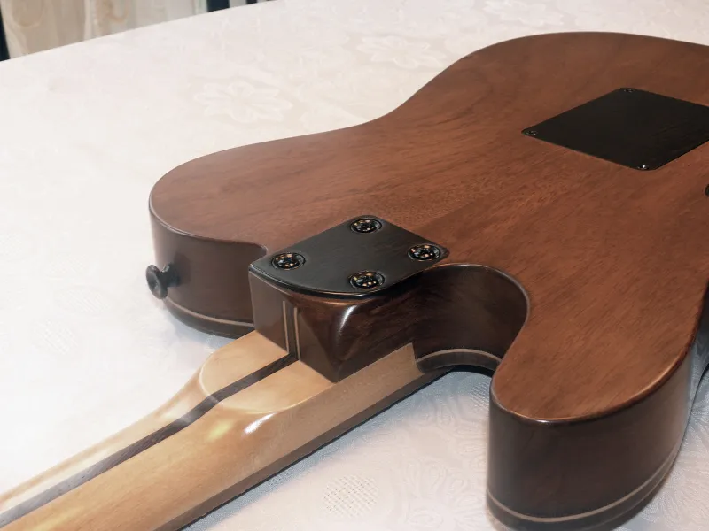 Egyedi készítésű Gitár Elektroakusztikus gitár