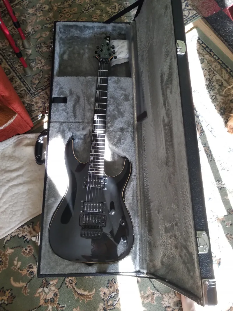 ESP E-ii Horizon FR Electric guitar