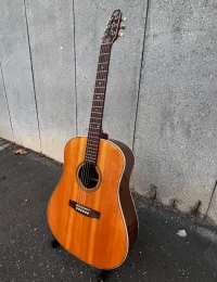 Seagull 25TH ANNIVERSARY MAHOGANY SPRUCE HG Elektroakustická gitara [April 3, 2023, 6:09 pm]