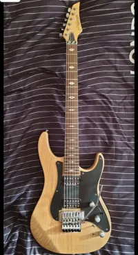 J&D 80SA Guitarra eléctrica [August 1, 2023, 1:58 pm]