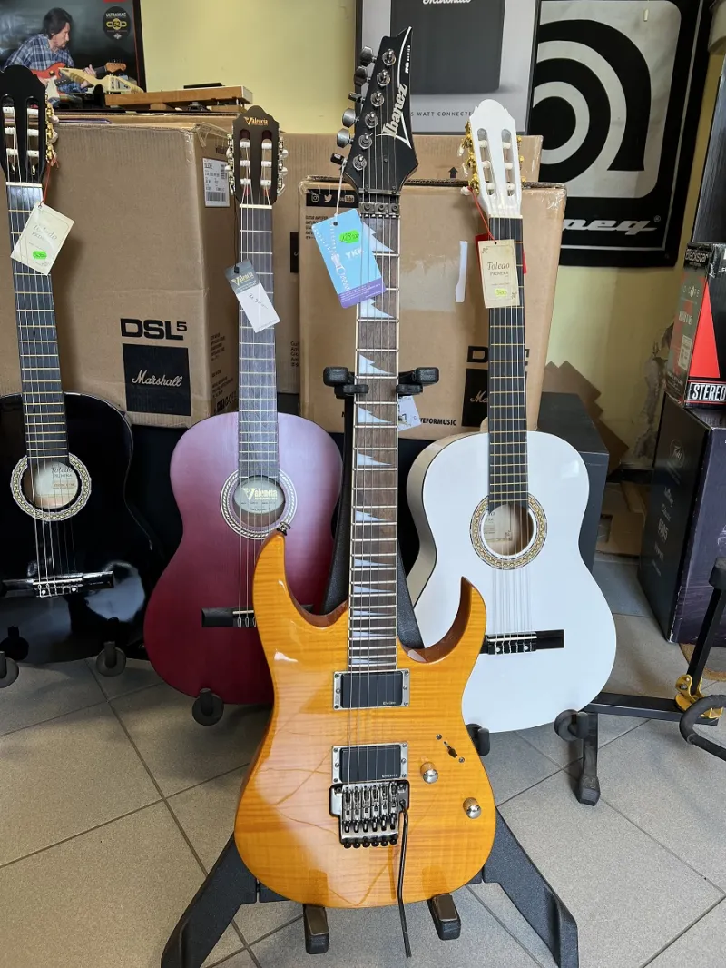 Ibanez RG320DXFM Electric guitar
