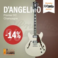 DAngelico DC E-Gitarre [February 8, 2024, 4:02 pm]