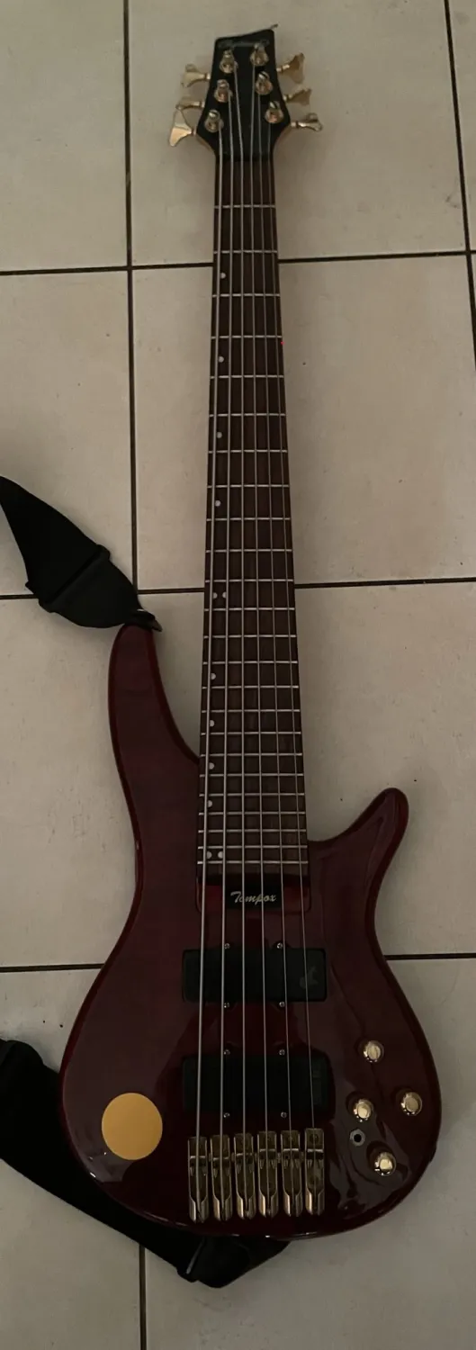  6 húros Basgitara