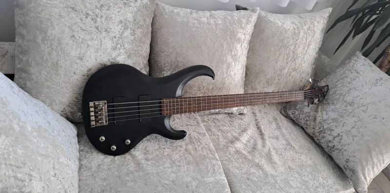 Ibanez btb 205 discount