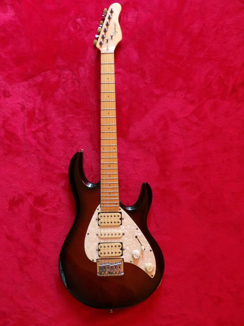  HSH Elektrická gitara