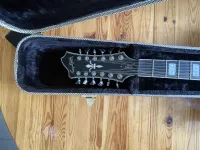 Hagström VIDLX 12-string Elektrická gitara [June 19, 2023, 8:48 am]