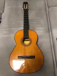 Alvaro N25 Acoustic guitar [June 22, 2023, 9:30 pm]