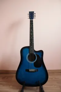 Julia  Elektro-Akkustik Guitarre [June 26, 2023, 9:34 pm]