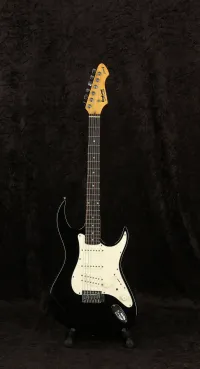 Rockwood - Hohner LX200G Elektromos gitár [2023.07.27. 14:44]