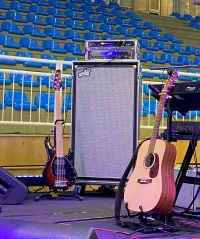 Aguilar DB810
