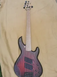 Sandberg Panther Bass Gitarre [June 28, 2023, 4:25 pm]