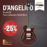 DAngelico Excel SS Tour E-Gitarre [September 9, 2024, 2:56 pm]