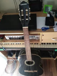 Giannini  Guitarra acústica [July 11, 2023, 5:33 pm]