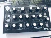 Moog Minitaur Analog-Synthesizer [July 28, 2023, 6:08 pm]